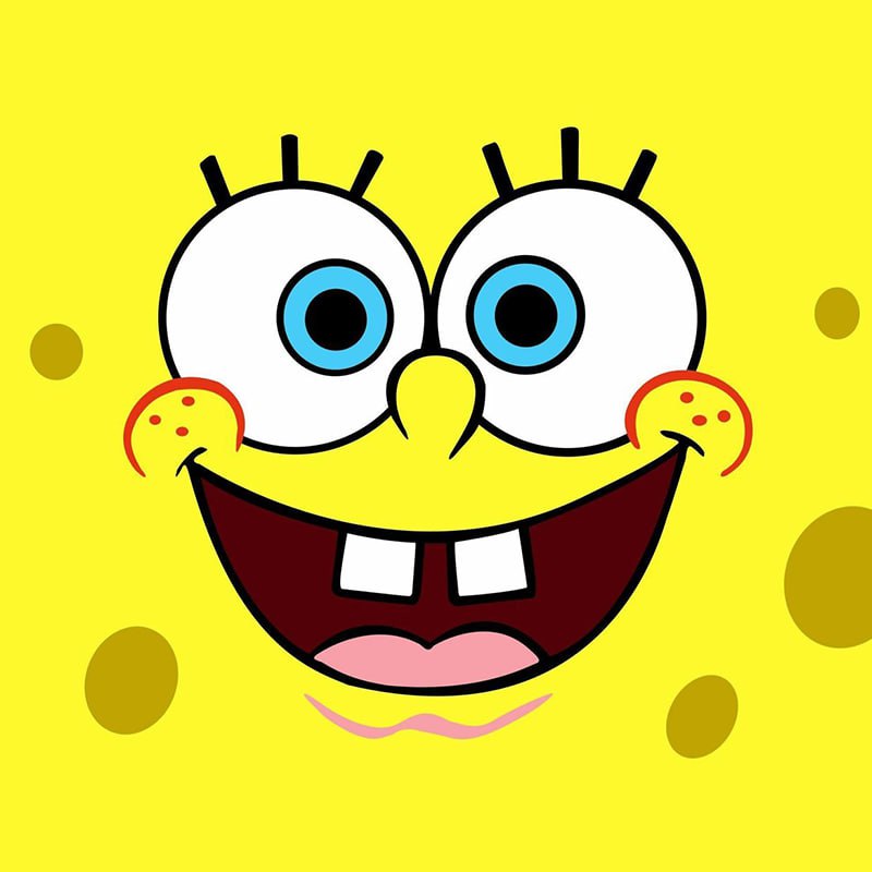 sponge