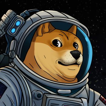 doge-1-satellite-1