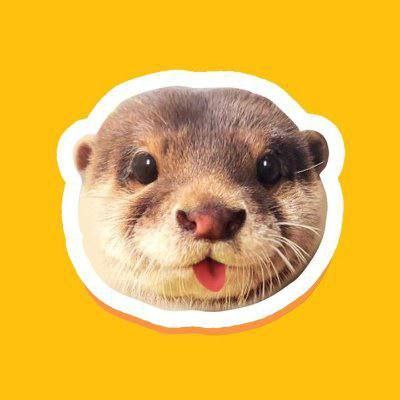 Degen The Otter